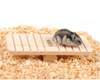 Small Animal Palyground Wood Seesaw For Mouse and Hamster