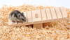 Small Animal Palyground Wood Seesaw For Mouse and Hamster