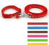 Collar and Leash Lead Set with Bell