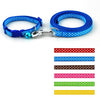 Collar and Leash Lead Set with Bell