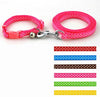 Collar and Leash Lead Set with Bell