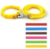 Collar and Leash Lead Set with Bell